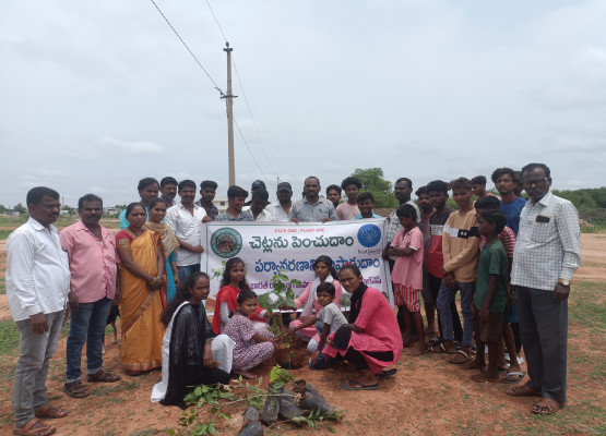 Tree Plantation Drive